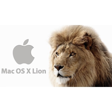 Installera Mac OS X Lion på ett USB-minne