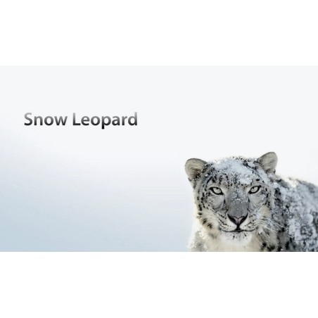 Installere Mac OS X Snow Leopard på en USB-flash-stasjon