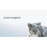 Mac OS X Snow Leopardi installimine USB-mälupulgale